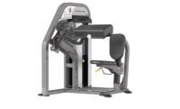 Vente en gros directe usine – Nouveauté haut de gamme pour usage commercial : Appareil de curl biceps
