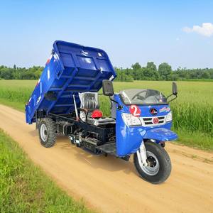 Tricycle Cargo Trois Roues Ouvert, Scooter Chargeur Diesel avec Refroidissement par Eau, Véhicule Essence et Diesel - Product Image 3