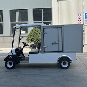 Elegante Carro de Golf de 2 Plazas con Caja para Uso Urbano, Velocidad de 30-50 km/h y Autonomía de 50-70 km, Carro Listo para Circular en la Calle, Carro de Golf Único de 2 Plazas - Product Image 4