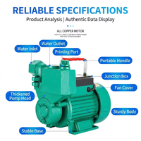 Pompe à eau centrifuge auto-amorçante électrique 220V pour système de surpression d'eau de puits domestique