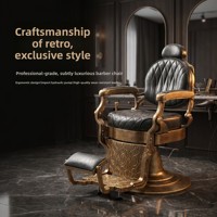 Fauteuil de Barbier Rétro de Luxe en Métal Doré, Éponge Épaisse Résistante à l'Usure et à Haute Résilience, Hauteur Réglable, Pompe Hydraulique, Usage Commercial