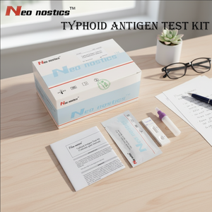 CE 인증 고정밀 고감도 장티푸스 항원 신속 진단 키트 (병원 및 가정용) - Product Image 4