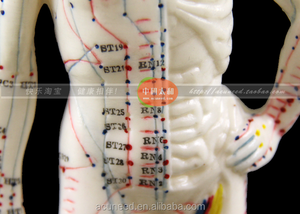 Modello di Punti di Agopuntura Umani Maschili per Muscoli del Corpo, Stile Cinese - Product Image 5