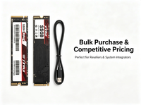 SSD internal TXRUI OEM 256GB M.2 NVMe PCIe 3.0, solid state drive OEM untuk laptop dan desktop, peningkatan SSD dengan casing plastik.