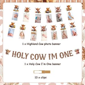 Striscione per il primo compleanno 'Holy Cow Im One Highland Cow' e striscione fotografico mensile per decorazioni per baby shower e compleanni - Product Image 1