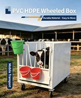 Boîte de transport individuelle pour veau, pour le démêllement des cornes et la maternité