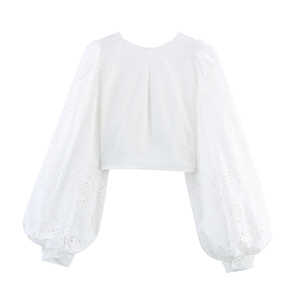 Weiße V-Ausschnitt Bluse mit Lochstickerei und Laternenärmeln, Lässige Modische Crop-Top für Damen - Product Image 2