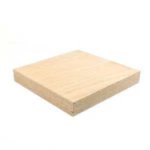 4X8 Block Core Waterproof Plywood Sheets - China Water Proof, Waterproofing