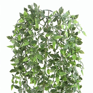 Planta Colgante <span class=keywords><strong>de</strong></span> Callisia Elegans, Vibrante y Variegada, con Elegante Caimiento, Ideal para Decoración Interior y Exterior con <span class=keywords><strong>Sombra</strong></span> - Product Image 2