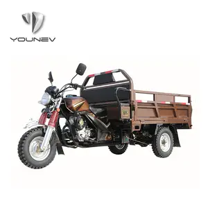 YOUNEV 12V 111-150cc High Quality Small Powerful Cargo Tricycles Dump Body Motorized Tricycle For Adults