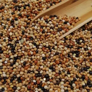 Broomcorn Millet Feeds Animal Bird Seed Mix Bird Food