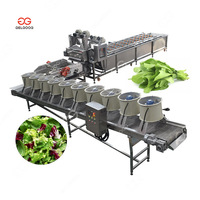 Laveuse à salade électrique et machine de nettoyage à sec pour légumes