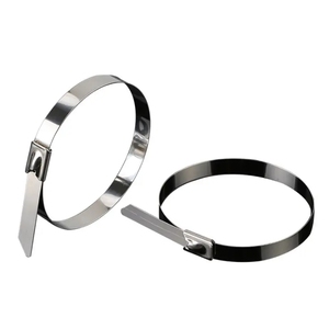 4,6x600mm Acero inoxidable Cabe Tie Aluminio Metal SS <span class=keywords><strong>Cable</strong></span> Wire Zip Tie - Product Image 4