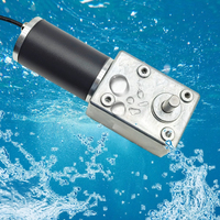 Moteur à engrenages à vis sans fin étanche IP68 12V 24V 240W à couple élevé autobloquant réversible 5882-45 pour applications sous-marines