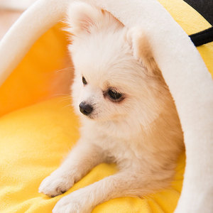 Cama <span class=keywords><strong>de</strong></span> invierno <span class=keywords><strong>para</strong></span> <span class=keywords><strong>perros</strong></span> y gatos Villa Cama ecológica <span class=keywords><strong>de</strong></span> <span class=keywords><strong>tela</strong></span> sólida <span class=keywords><strong>para</strong></span> mascotas Casa semicerrada plegable Lavable <span class=keywords><strong>para</strong></span> <span class=keywords><strong>perros</strong></span> y gatos - Product Image 5
