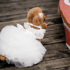 小型中型犬猫用Puレザーリードウィングドッグカラー調節可能な犬のリーシュハーネス - Product Image 3