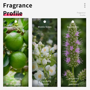 VILILY 38ml Parfums pour femmes <span class=keywords><strong>Parfum</strong></span> en miniature Floral Oriental Échantillon Vaporisateur de poche Brume <span class=keywords><strong>parfum</strong></span>ée pour le corps Mini <span class=keywords><strong>parfum</strong></span> de voyage - Product Image 4