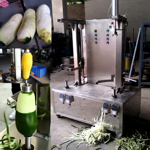 Máquina Peladora Automática de Calabazas, Piñas y Mangos, de Acero Inoxidable 304, Alta Productividad, Diseño Nuevo - Product Image 2