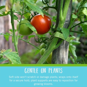 Pour les attaches de plantes réglables de marque | Ruban de jardin vert 75 pi X 1/<span class=keywords><strong>2</strong></span> | Support de plante à boucle de crochet coupé à longueur réutilisable écologique - Product Image 4