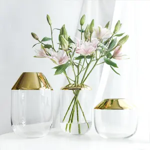 Florero de cristal para decoración del hogar, jarrón creativo transparente, blanco, dorado, fresco, chapado en oro