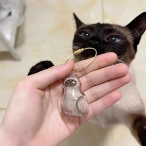 Llavero transparente 2025 para pelo de perro, hecho a mano, para guardar pelo de gato, colección de recuerdos de pelo de perro, llavero para pelo de mascota, colgante para bolso - Product Image 4