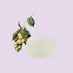 Venta al por mayor: Barra de Jabón Líquido Orgánico Vegano VICTORIAN GARDEN para Bebés, Envase de Plástico, Sin SLS/Parabenos/Colorantes, Marca Privada para Productos Premium - Product Image 2