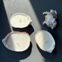 Bougies de luxe parfumées d'aromathérapie personnalisées avec coquillages, vente en gros