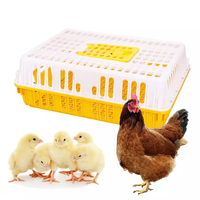 Cage de transport pour poulets vivants, boîte de retournement pour poussins, caisse de transport en plastique pour volailles, pour canard, poulet, pigeon