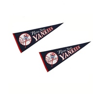 Banderines de la Escuela de fieltro impresos con logotipo personalizado OEM