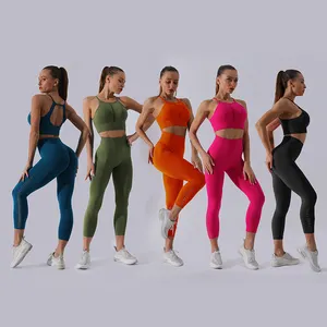 Vrouwen Naadloze Fitness Yoga Set Gym Hoge Hals Crop Top + Capri Leggings 2 Stuks Yoga Wear Set Groothandel Fitness kleding