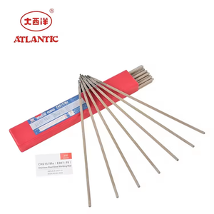 ATLANTIC 2024 Prix usine Électrode <span class=keywords><strong>de</strong></span> soudage flexible en plastique solide standard CHS157Mn E307-15 pour fonte, 5kg ISO9001 - Product Image 4
