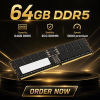 Untuk Kingston KSM56R46BD4-64HA 64GB DDR5-5600 PC5-44800R ECC RDIMM Modul Memori Server