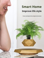Bonsaï à lévitation magnétique Plantes en pot Décorations d'intérieur créatives Cadeaux légers et uniques pour les nouveaux et les anciens