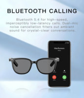 Proveedor de Gafas Inteligentes OEM AG11, Lentes Electrocrómicas, Marco de PVC/Nylon, Carga Magnética, Control por Voz, Asistente IA en Tiempo Real