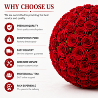 Boule de roses artificielles en soie, style moderne, décoration pour mariage, fête, événement, tailles 30-60 cm, haute qualité, durable, incassable