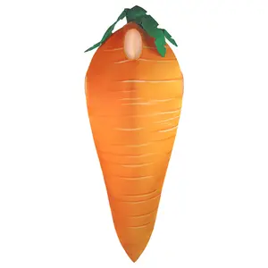 Factory Price Fruits and Veggies Carrot Adult Costume Cartoon Costumes Vegetable Costume for Adult