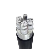 Câble d'alimentation en polyéthylène réticulé (XLPE) à âme en aluminium YJLV22-3*35+1*16/3*50+1*25, fourni directement par le fabricant