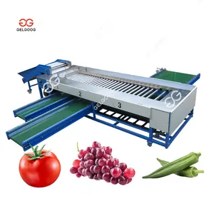 7 Grades Olives Chilli Plum Cherry Size Grader Grapes Sorter Equipment Okra Tomato Grading Machine