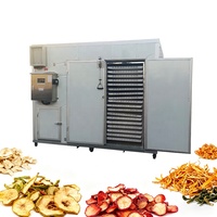 Topverkopers RVS Warmtepompdroger PLC Motor 50-100kg Capaciteit Energiebesparende All-in-One Droger voor Fruit en Groenten