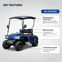 Voitures de golf électriques chinoises à 2 places, personnalisées, de haute qualité, multi-usages, à bas prix, pour clubs et visites touristiques