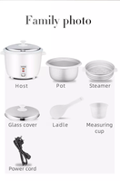 Petit appareil de cuisine à tambour électrique, cuiseur à riz électrique de 0,6 l/1l/1,5 l/1,8 l/2,2 l/2,8 l