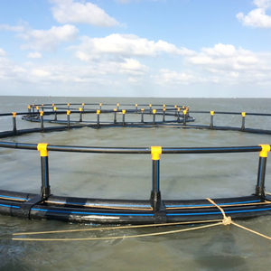 Pièges d'aquaculture flottants circulaires en HDPE MAVINEX, diamètre 15-20M, pour l'élevage de poissons, fabricant vietnamien, haute qualité à prix abordable - Product Image 6