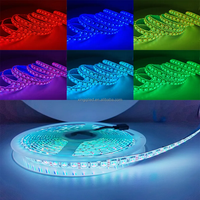 Bande lumineuse LED intelligente RGB d'usine 12V 24V SMD 5050 Bande lumineuse LED RGB 60LEDs 120LEDs Contrôle tactile Rétroéclairage TV 5050