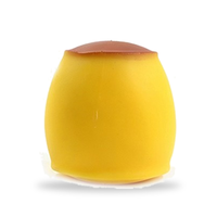 Jouet Squishy Pudding à Rebond Lent en TPR, Jouet Anti-Stress à Presser, Jouet Sensoriel de Bureau en Forme de Pudding Caramel pour Enfants et Adultes