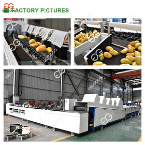 Máquina Clasificadora Electrónica de Frutas por Banda Transportadora, Máquina Clasificadora de Almendras Crudas, Máquina Clasificadora de Albaricoques y Aceitunas para Cerezas, 6 Carriles - Product Image 4