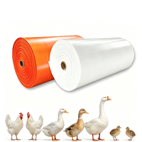 Bande transporteuse à fumier en PP de haute qualité pour l'élevage de poulets, canards, oies, dindes, cailles, cages avicoles, système d'évacuation automatique du fumier