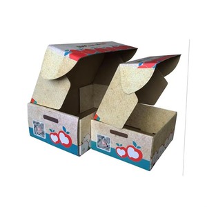 Boîte cadeau en carton blanc biodégradable avec compartiment, estampage à chaud noir, or et argent, pour e-commerce et emballage avion - Product Image 3