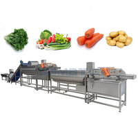 Fruit Groenten Aardbei Oranje Tomaat Ui Mango Machine Was En Droogproces Productielijn