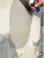 HANSHUO Hydroxypropyl Methyl Cellulose Poudre de mastic pour béton projeté, adsorbant de rétention d'eau à haute viscosité, agent auxiliaire 99%