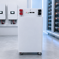 Batería LiFePO4 de 16 kWh con Ruedas para Almacenamiento de Energía Renovable Doméstica